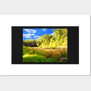 summer landscape Posters and Art